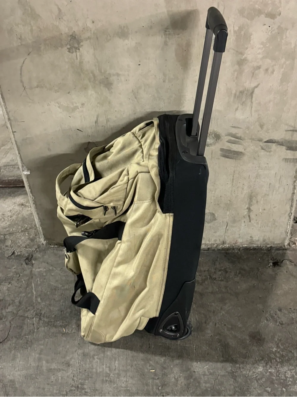 Patagonia Canvas Travel Carry on Luggage